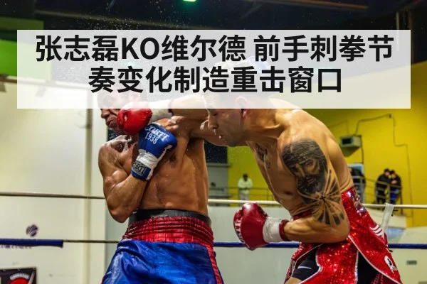 张志磊KO维尔德 前手刺拳节奏变化制造重击窗口